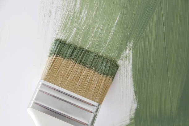 Mold Documentation for Insurance Claims in Peoria Heights, IL