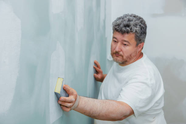 Best Asbestos and Lead Testing During Mold Inspection  in Peoria Heights, IL