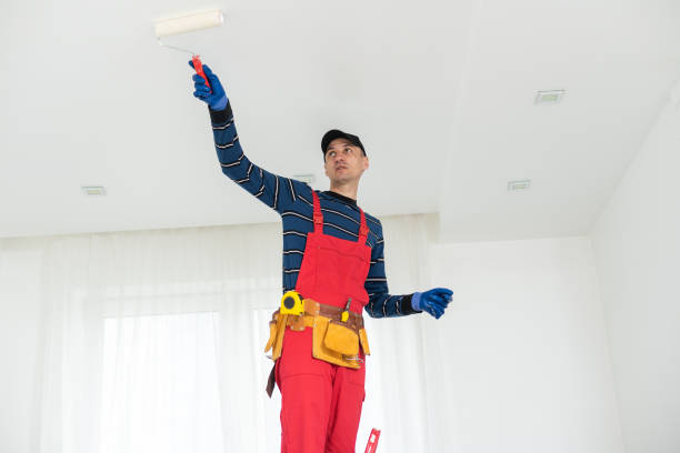 Best Water Damage & Mold Remediation  in Peoria Heights, IL