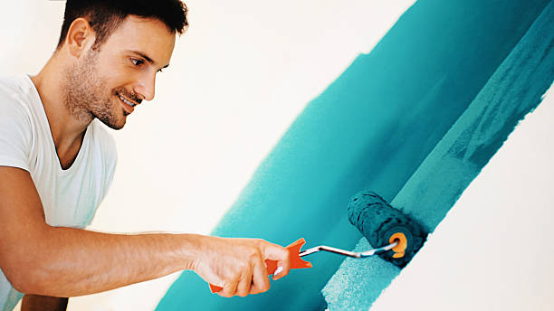 Best Post-Construction Mold Inspection  in Peoria Heights, IL