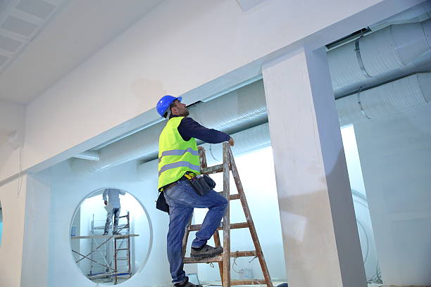 Best Black Mold Removal  in Peoria Heights, IL